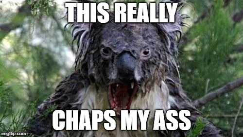 Angry Koala Meme | THIS REALLY; CHAPS MY ASS | image tagged in memes,angry koala | made w/ Imgflip meme maker