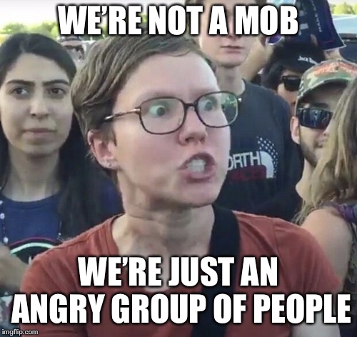 Triggered feminist | WE’RE NOT A MOB; WE’RE JUST AN ANGRY GROUP OF PEOPLE | image tagged in triggered feminist | made w/ Imgflip meme maker