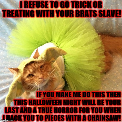 TRICK OR TREAT | I REFUSE TO GO TRICK OR TREATING WITH YOUR BRATS SLAVE! IF YOU MAKE ME DO THIS THEN THIS HALLOWEEN NIGHT WILL BE YOUR LAST AND A TRUE HORROR FOR YOU WHEN I HACK YOU TO PIECES WITH A CHAINSAW! | image tagged in trick or treat | made w/ Imgflip meme maker
