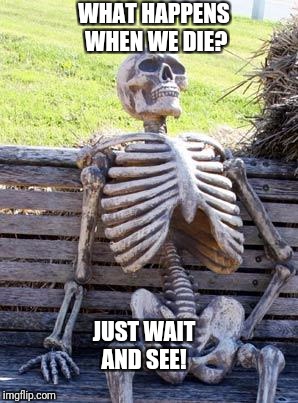 Waiting Skeleton | WHAT HAPPENS WHEN WE DIE? JUST WAIT AND SEE! | image tagged in memes,waiting skeleton | made w/ Imgflip meme maker
