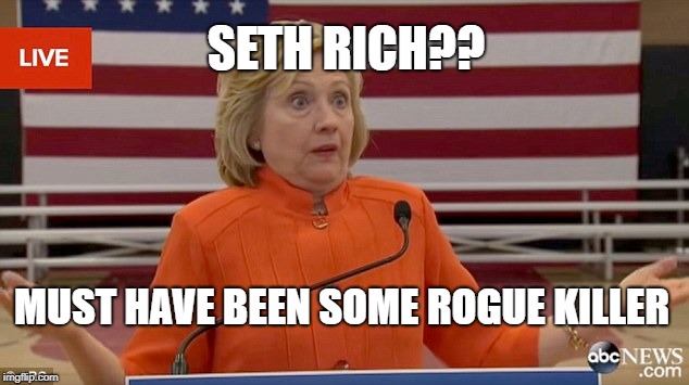 Hillary Clinton Fail | SETH RICH?? MUST HAVE BEEN SOME ROGUE KILLER | image tagged in hillary clinton fail | made w/ Imgflip meme maker