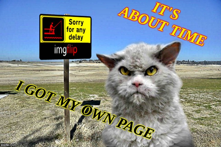 he took the scenic route to get here... | IT'S ABOUT TIME; I GOT MY OWN PAGE | image tagged in imgflip sorry with pompous cat,first world cat problems | made w/ Imgflip meme maker
