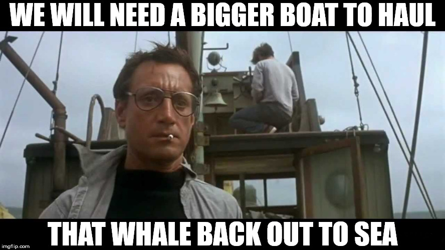 Jaws bigger boat | WE WILL NEED A BIGGER BOAT TO HAUL THAT WHALE BACK OUT TO SEA | image tagged in jaws bigger boat | made w/ Imgflip meme maker