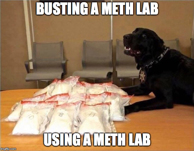 probably a repost somewhere | BUSTING A METH LAB; USING A METH LAB | image tagged in 10 guy,dogs,meth | made w/ Imgflip meme maker