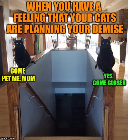 COME PET ME, MOM YES, COME CLOSER | made w/ Imgflip meme maker