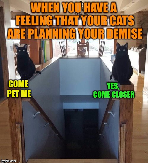 COME PET ME YES, COME CLOSER | made w/ Imgflip meme maker