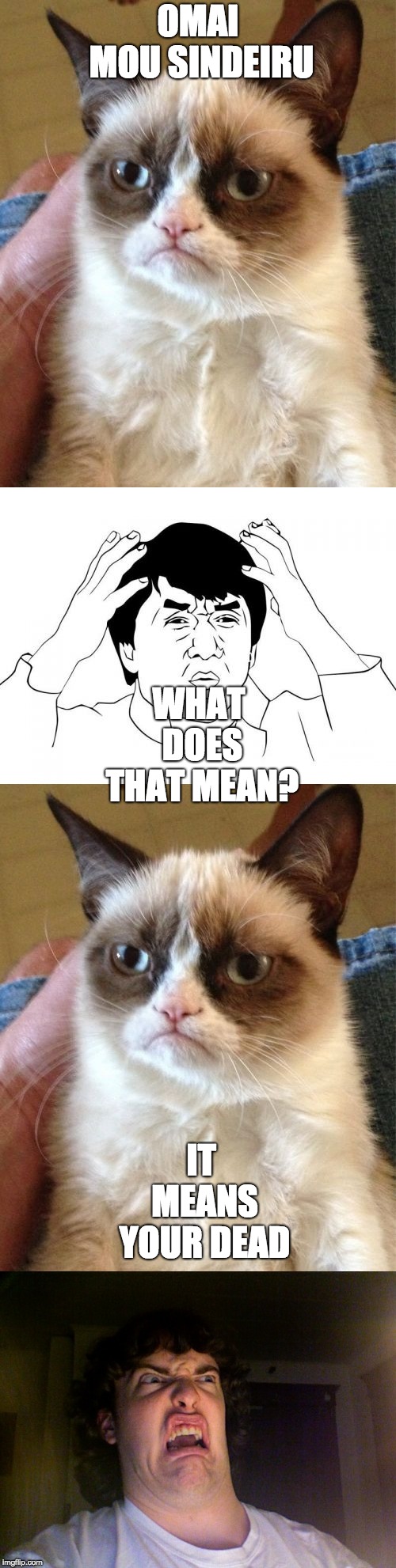 To people who still don't know what it means | OMAI MOU SINDEIRU; WHAT DOES THAT MEAN? IT MEANS YOUR DEAD | image tagged in grumpy cat,memes,jackie chan wtf,oh no,japanese | made w/ Imgflip meme maker