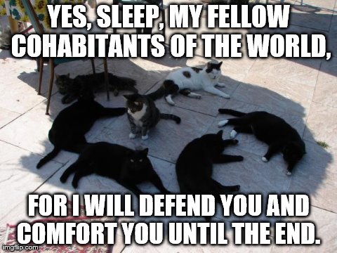 YES, SLEEP, MY FELLOW COHABITANTS OF THE WORLD, FOR I WILL DEFEND YOU AND COMFORT YOU UNTIL THE END. | made w/ Imgflip meme maker