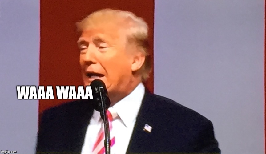 Trump days | WAAA WAAA | image tagged in trump days | made w/ Imgflip meme maker