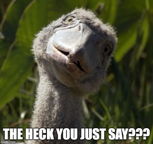 THE HECK YOU JUST SAY??? | image tagged in the heck you say | made w/ Imgflip meme maker