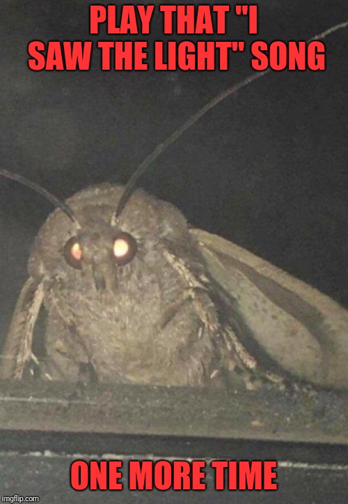 Moth | PLAY THAT "I SAW THE LIGHT" SONG; ONE MORE TIME | image tagged in moth | made w/ Imgflip meme maker
