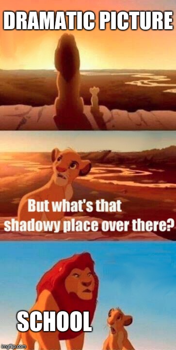 Simba Shadowy Place Meme | DRAMATIC PICTURE; SCHOOL | image tagged in memes,simba shadowy place | made w/ Imgflip meme maker