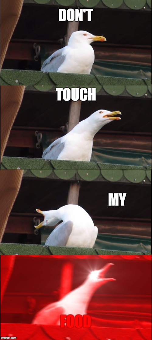 Inhaling Seagull Meme | DON'T; TOUCH; MY; FOOD | image tagged in memes,inhaling seagull | made w/ Imgflip meme maker