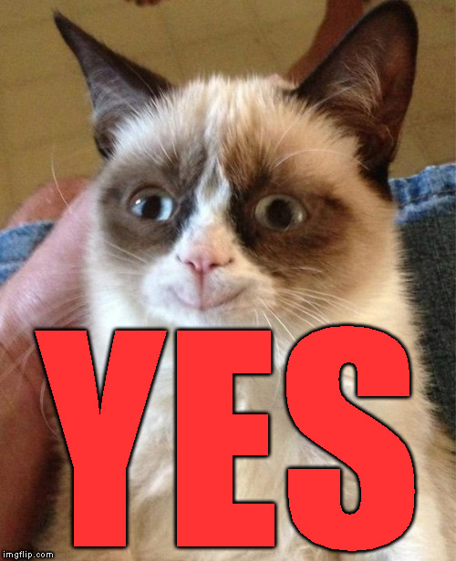 Grumpy Cat Happy Meme | YES | image tagged in memes,grumpy cat happy,grumpy cat | made w/ Imgflip meme maker
