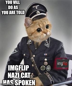 Grammar Nazi Cat | YOU VILL DO AS YOU ARE TOLD IMGFLIP NAZI CAT HAS SPOKEN | image tagged in grammar nazi cat | made w/ Imgflip meme maker