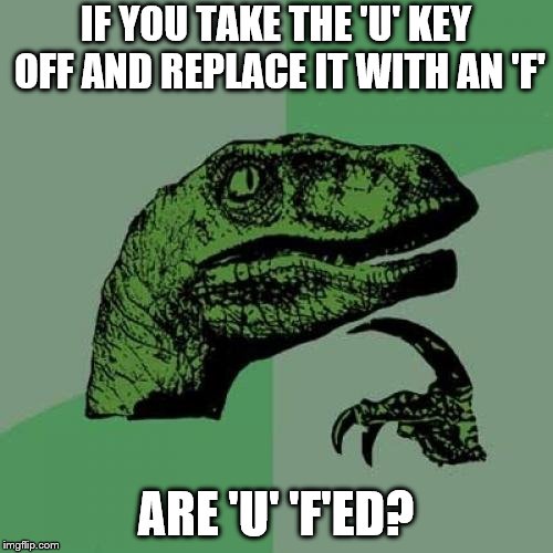 Philosoraptor Meme | IF YOU TAKE THE 'U' KEY OFF AND REPLACE IT WITH AN 'F' ARE 'U' 'F'ED? | image tagged in memes,philosoraptor | made w/ Imgflip meme maker