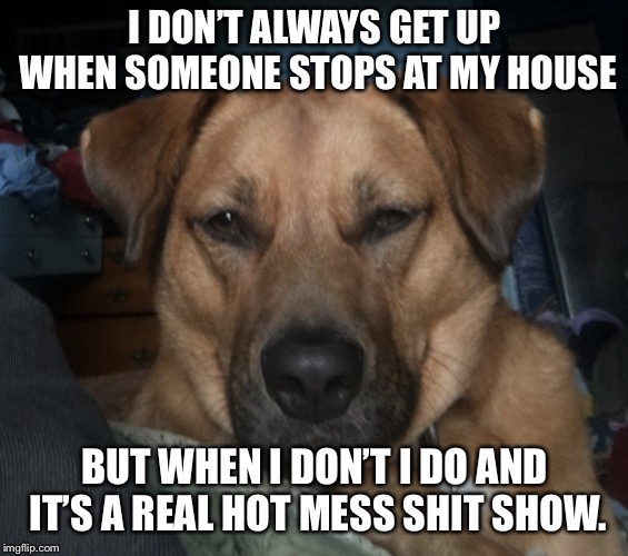 Gunner | I DON’T ALWAYS GET UP WHEN SOMEONE STOPS AT MY HOUSE; BUT WHEN I DON’T I DO AND IT’S A REAL HOT MESS SHIT SHOW. | image tagged in gunner | made w/ Imgflip meme maker