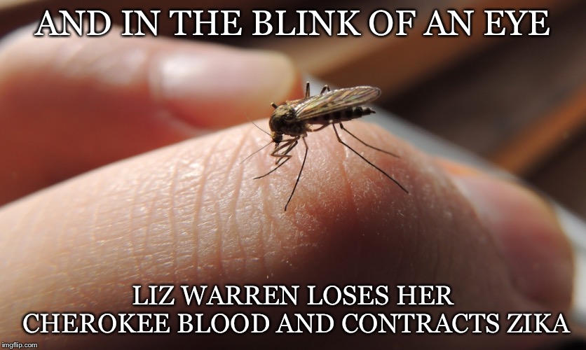 Elizabeth warren zika  | AND IN THE BLINK OF AN EYE; LIZ WARREN LOSES HER CHEROKEE BLOOD AND CONTRACTS ZIKA | image tagged in elizabeth warren | made w/ Imgflip meme maker