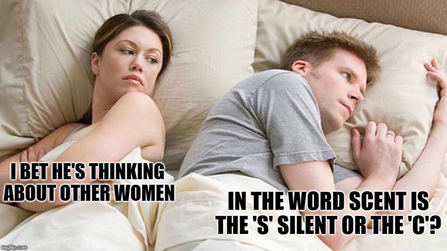 ya never know | I BET HE'S THINKING ABOUT OTHER WOMEN; IN THE WORD SCENT IS THE 'S' SILENT OR THE 'C'? | image tagged in i bet he's thinking about other women,funny | made w/ Imgflip meme maker