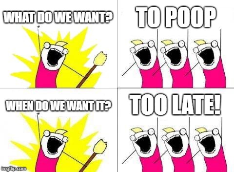 What Do We Want Meme | WHAT DO WE WANT? TO POOP WHEN DO WE WANT IT? TOO LATE! | image tagged in memes,what do we want | made w/ Imgflip meme maker