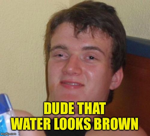 10 Guy Meme | DUDE THAT WATER LOOKS BROWN | image tagged in memes,10 guy | made w/ Imgflip meme maker
