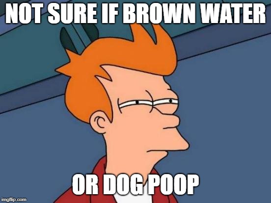 Futurama Fry Meme | NOT SURE IF BROWN WATER OR DOG POOP | image tagged in memes,futurama fry | made w/ Imgflip meme maker