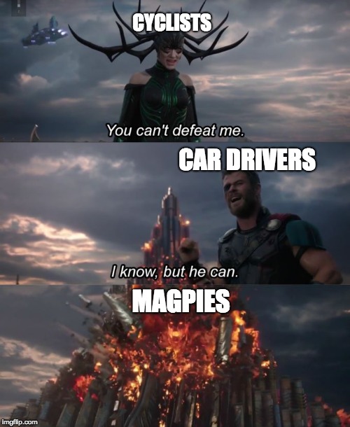 Ozzie meme | CYCLISTS; CAR DRIVERS; MAGPIES | image tagged in you can't defeat me | made w/ Imgflip meme maker
