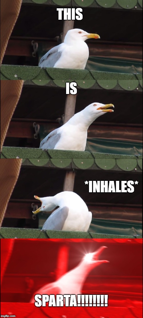 Inhaling Seagull Meme | THIS; IS; *INHALES*; SPARTA!!!!!!!! | image tagged in memes,inhaling seagull | made w/ Imgflip meme maker