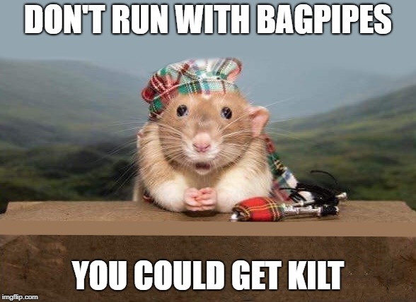 safety first  | DON'T RUN WITH BAGPIPES; YOU COULD GET KILT | image tagged in mouse,bagpipes | made w/ Imgflip meme maker
