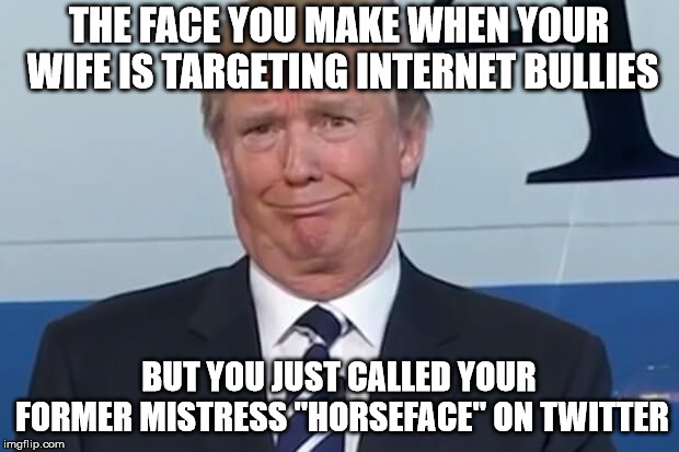 donald trump | THE FACE YOU MAKE WHEN YOUR WIFE IS TARGETING INTERNET BULLIES; BUT YOU JUST CALLED YOUR FORMER MISTRESS "HORSEFACE" ON TWITTER | image tagged in donald trump | made w/ Imgflip meme maker