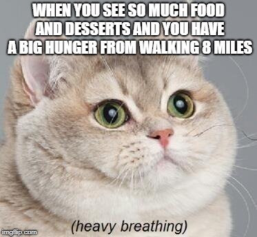 i feel like this is The Fat Dude's (nicknamed The Fat Biggie) cat | WHEN YOU SEE SO MUCH FOOD AND DESSERTS AND YOU HAVE A BIG HUNGER FROM WALKING 8 MILES | image tagged in memes,heavy breathing cat | made w/ Imgflip meme maker