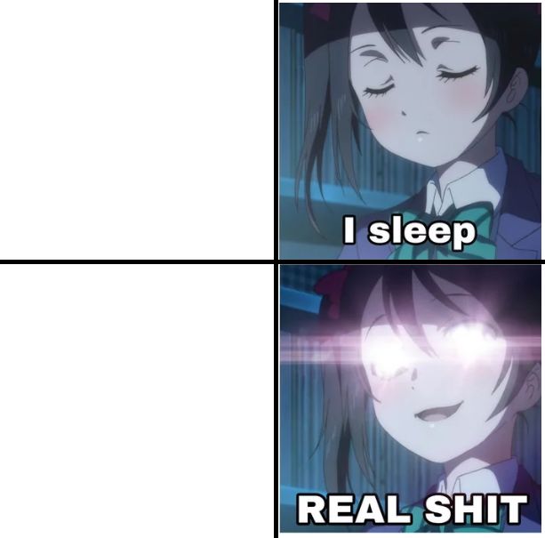 High Quality I sleep anime Blank Meme Template