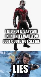 I DID NOT DISAPPEAR IN INFINITY WAR 
YOU JUST COULD NOT SEE ME; LIES | image tagged in infinity what | made w/ Imgflip meme maker