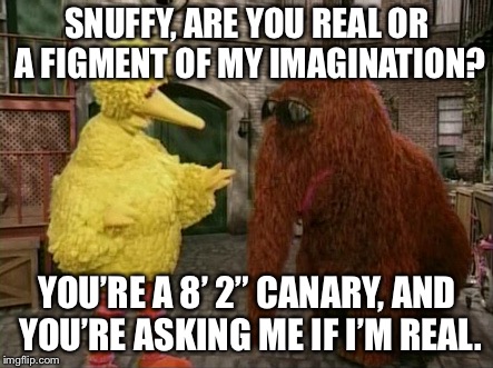 Big Bird And Snuffy | SNUFFY, ARE YOU REAL OR A FIGMENT OF MY IMAGINATION? YOU’RE A 8’ 2” CANARY, AND YOU’RE ASKING ME IF I’M REAL. | image tagged in memes,big bird and snuffy | made w/ Imgflip meme maker