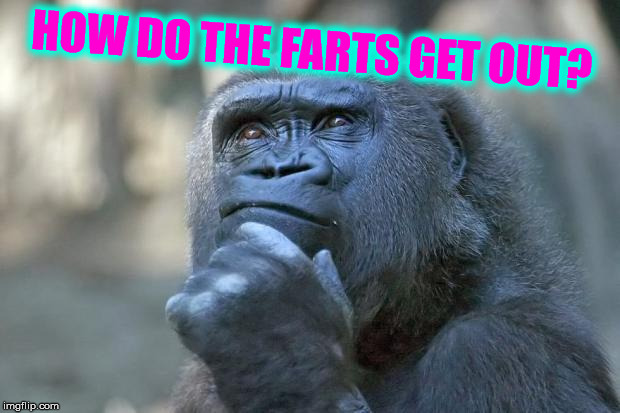 that is the question | HOW DO THE FARTS GET OUT? | image tagged in that is the question | made w/ Imgflip meme maker