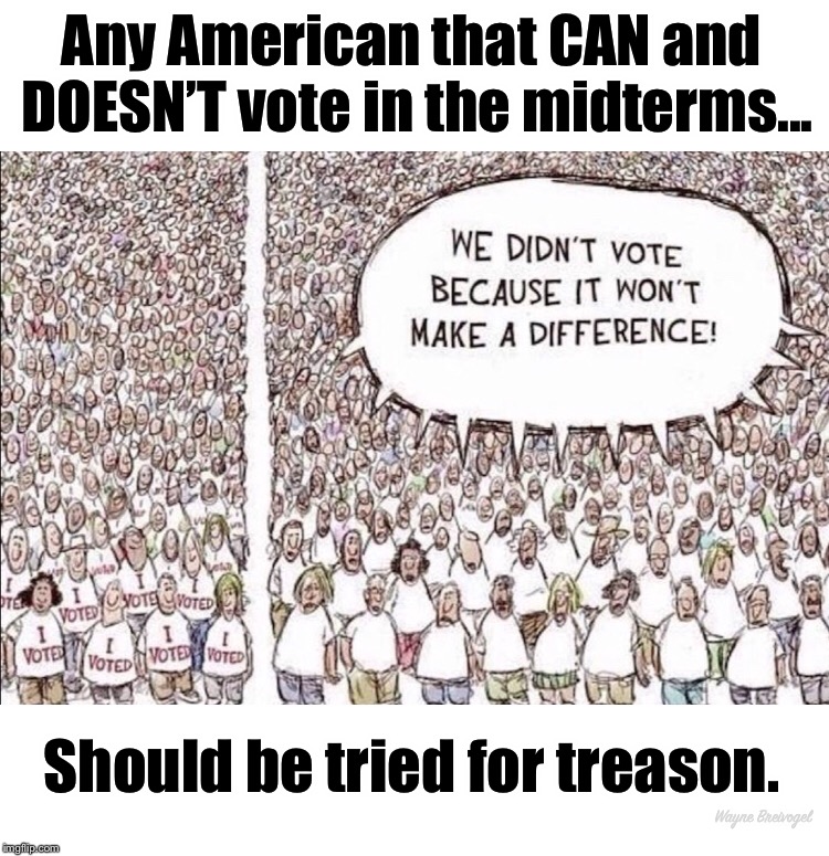 Any American that can and doesn’t vote in the midterms should be tried for treason | Any American that CAN and DOESN’T vote in the midterms... Should be tried for treason. Wayne Breivogel | image tagged in anti trump meme,pumpkinfrher,vote,midterms | made w/ Imgflip meme maker