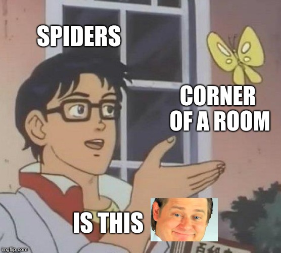 Is This A Pigeon Meme | SPIDERS; CORNER OF A ROOM; IS THIS | image tagged in memes,is this a pigeon | made w/ Imgflip meme maker