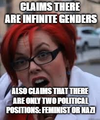 Feminist logic fail | CLAIMS THERE ARE INFINITE GENDERS; ALSO CLAIMS THAT THERE ARE ONLY TWO POLITICAL POSITIONS: FEMINIST OR NAZI | image tagged in sjw triggered,funny,memes,feminists,politics | made w/ Imgflip meme maker