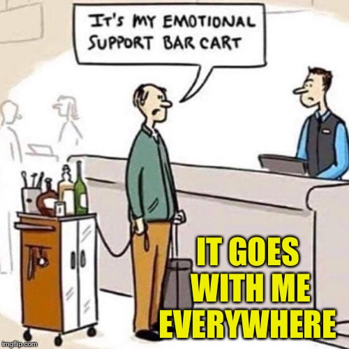 Emotional Support | IT GOES WITH ME EVERYWHERE | image tagged in emotional support,memes,bar,drink,repost | made w/ Imgflip meme maker