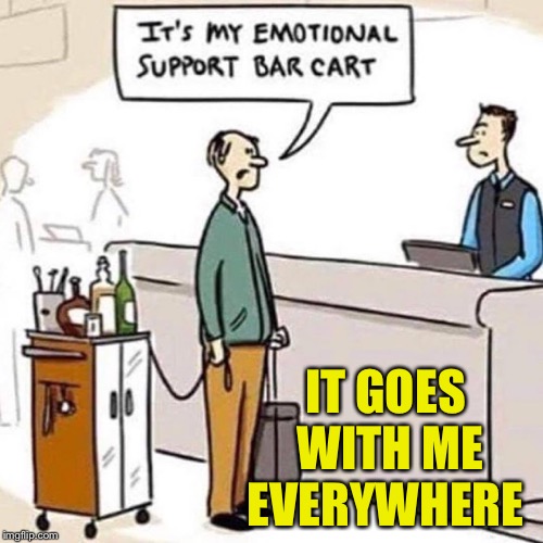 Emotional Support Imgflip