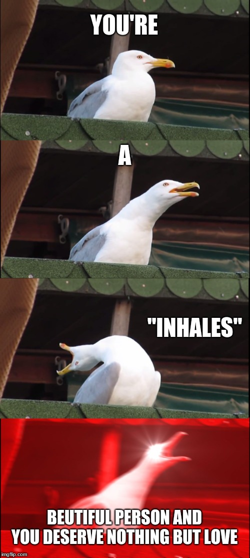 Inhaling Seagull Meme | YOU'RE; A; "INHALES"; BEUTIFUL PERSON AND YOU DESERVE NOTHING BUT LOVE | image tagged in memes,inhaling seagull | made w/ Imgflip meme maker