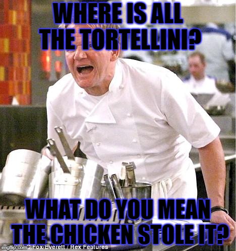 Chef Gordon Ramsay | WHERE IS ALL THE TORTELLINI? WHAT DO YOU MEAN THE CHICKEN STOLE IT? | image tagged in memes,chef gordon ramsay | made w/ Imgflip meme maker