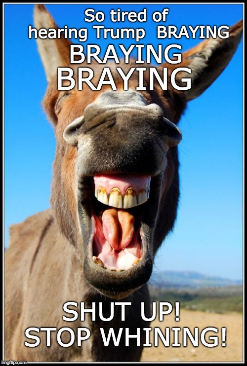 TRUMP - braying and whining! | So tired of hearing Trump  BRAYING; BRAYING; BRAYING; SHUT UP! STOP WHINING! | image tagged in jackass,trump,trump unfit unqualified dangerous,trump whining,trump braying,donald trump is an idiot | made w/ Imgflip meme maker