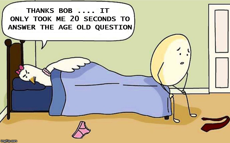 We all now know the answer to question. | THANKS BOB .... IT ONLY TOOK ME 20 SECONDS TO ANSWER THE AGE OLD QUESTION | image tagged in chicken egg,memes,good question,first meme,funny,cartoon | made w/ Imgflip meme maker