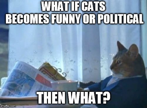 I Should Buy A Boat Cat | WHAT IF CATS BECOMES FUNNY OR POLITICAL; THEN WHAT? | image tagged in memes,i should buy a boat cat | made w/ Imgflip meme maker