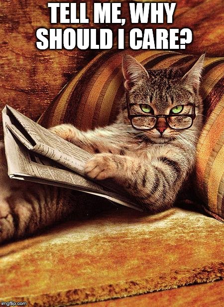 cat reading | TELL ME, WHY SHOULD I CARE? | image tagged in cat reading | made w/ Imgflip meme maker