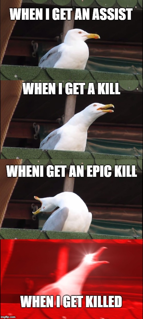 Inhaling Seagull Meme |  WHEN I GET AN ASSIST; WHEN I GET A KILL; WHENI GET AN EPIC KILL; WHEN I GET KILLED | image tagged in memes,inhaling seagull | made w/ Imgflip meme maker