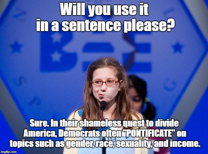 Will you use it in a sentence please? Sure. In their shameless quest to divide America, Democrats often "PONTIFICATE" on topics such as gender, race, sexuality, and income. | image tagged in identity politics,spelling bee | made w/ Imgflip meme maker