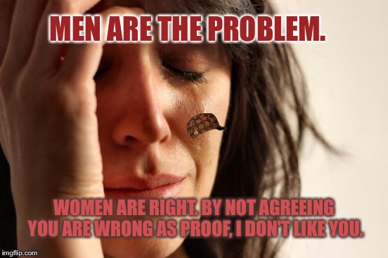 First World Problems | MEN ARE THE PROBLEM. WOMEN ARE RIGHT. BY NOT AGREEING YOU ARE WRONG AS PROOF, I DON'T LIKE YOU. | image tagged in memes,first world problems,scumbag | made w/ Imgflip meme maker