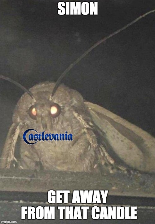 Moth | SIMON; GET AWAY FROM THAT CANDLE | image tagged in moth | made w/ Imgflip meme maker
